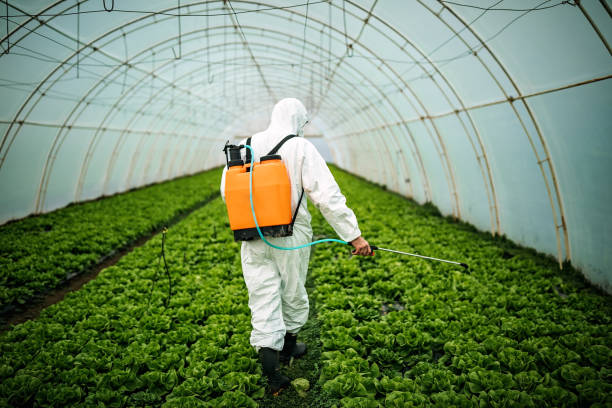 Best Affordable Pest Control Services  in Hurley, WI