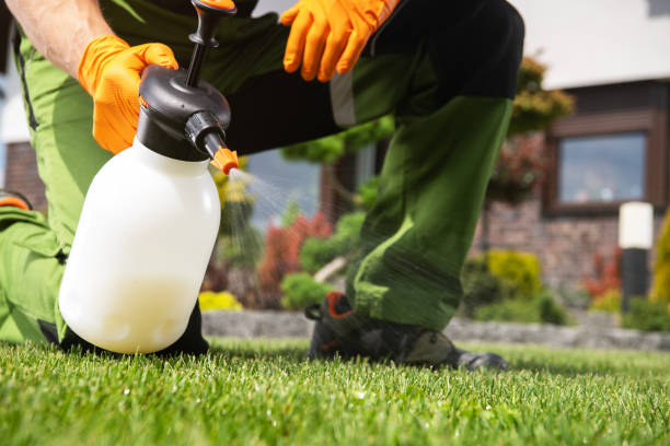 Best Pest Removal Services  in Hurley, WI