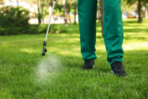 Pest Prevention Services in Hurley, WI