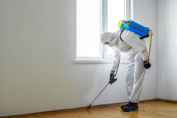 Best Affordable Pest Control Services  in Hurley, WI