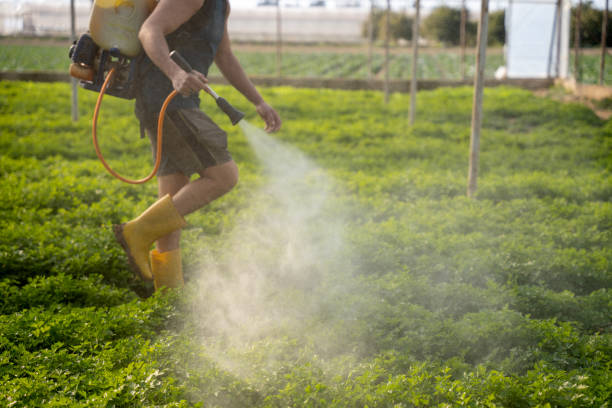 Reliable Hurley, WI Pest Control Solutions