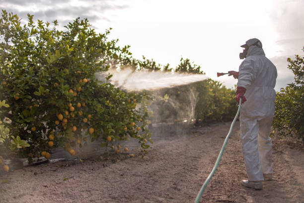 Best Pest Control Treatment  in Hurley, WI