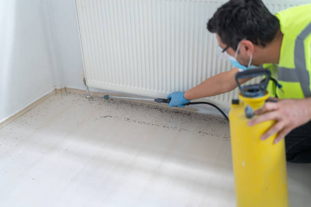 Best Affordable Pest Control Services  in Hurley, WI